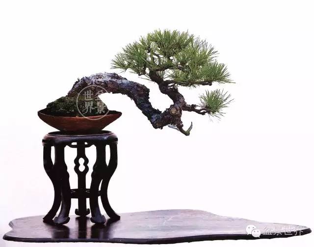 學會拐彎是一種大智慧 