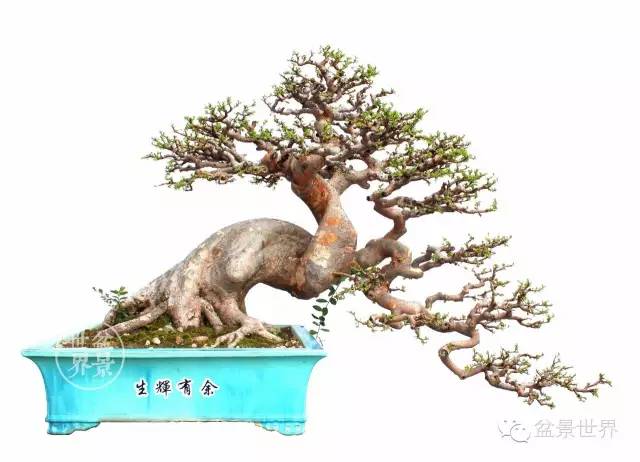 學會拐彎是一種大智慧 