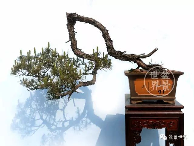 學會拐彎是一種大智慧 