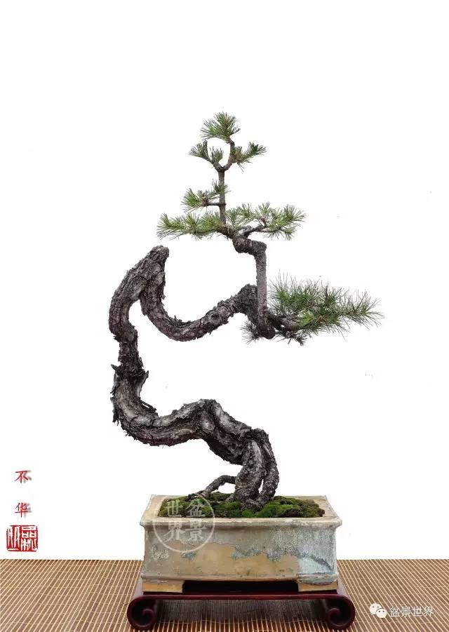 學會拐彎是一種大智慧 