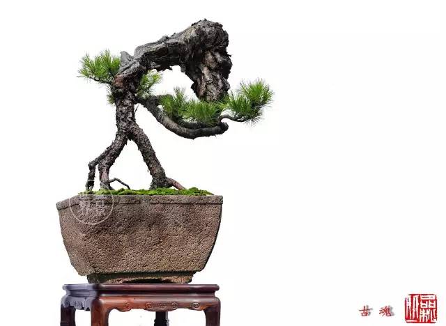 學會拐彎是一種大智慧 