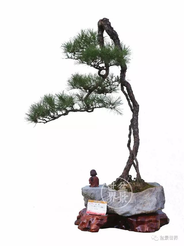 學會拐彎是一種大智慧 