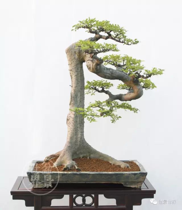 學會拐彎是一種大智慧 