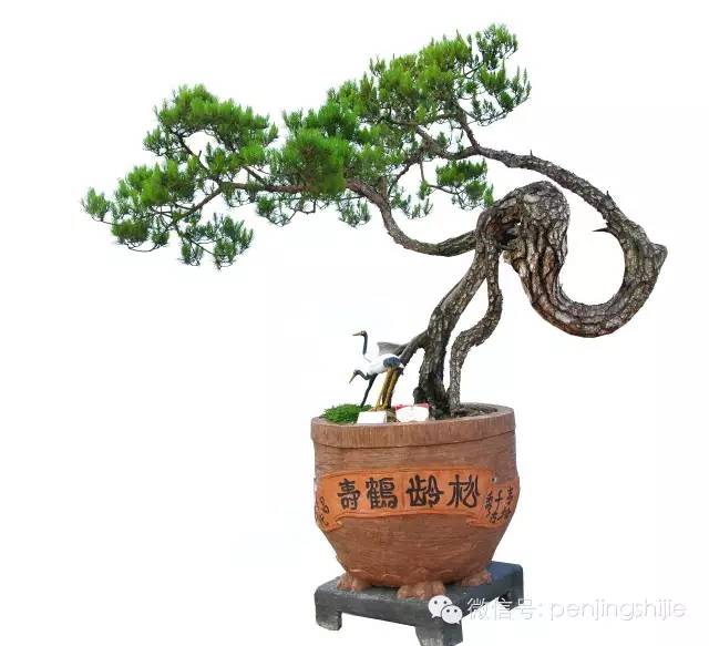 學會拐彎是一種大智慧 