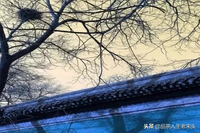 成大器的男人必六戒！（深度好文）