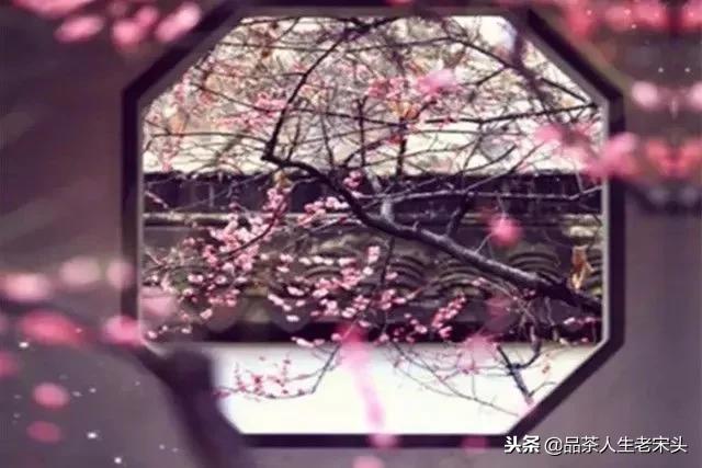 成大器的男人必六戒！（深度好文）