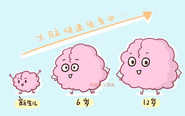 讓孩子堅持運動，他們的大腦會發生驚人的變化！