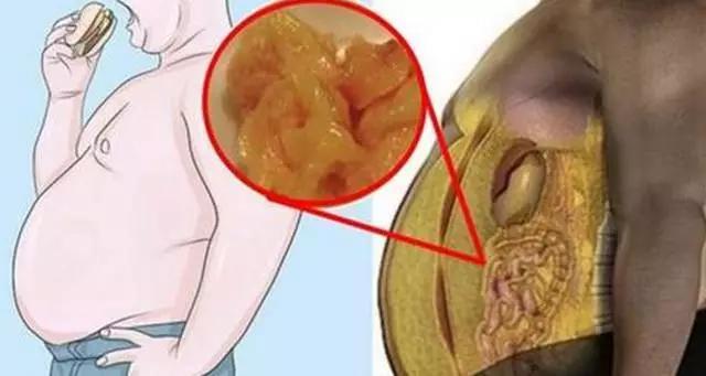 大大的肚子有超多脂肪？4招讓你減少「內臟脂肪含量」，恢復苗條身材 