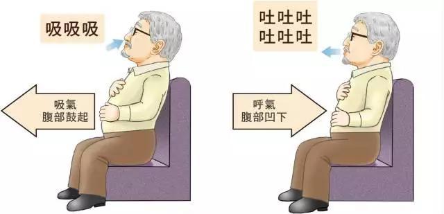 大大的肚子有超多脂肪？4招讓你減少「內臟脂肪含量」，恢復苗條身材 