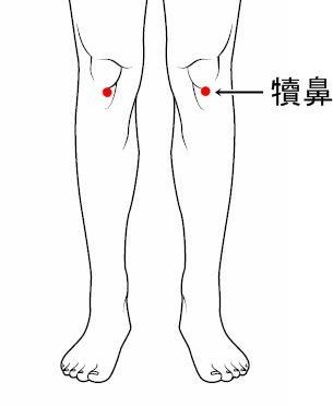 「跪坐1分鐘」打通全身氣血，腰背變得好輕鬆，痠痛不再來！ 