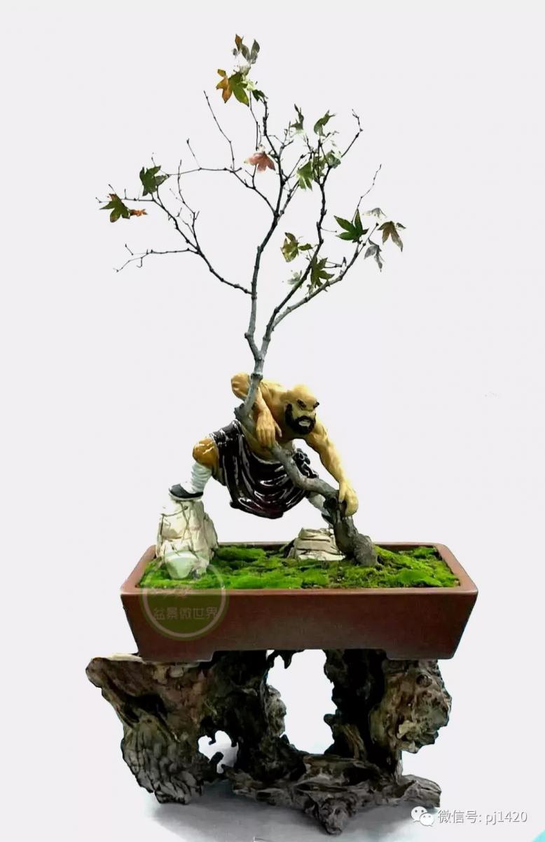 醜樹樁也能成美景！ 