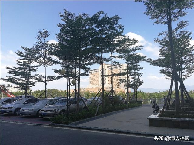 努力吧！成功是逼出來的！
