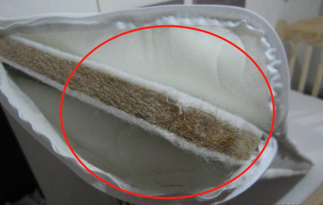  床墊用久了蟎蟲成窩？奶奶教我1個土辦法，3分鐘輕鬆殺死蟎蟲！
