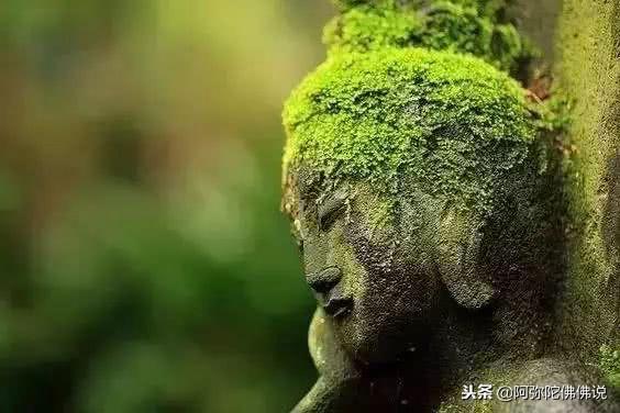 佛說：忍能養福，慈能養心，寬能聚氣