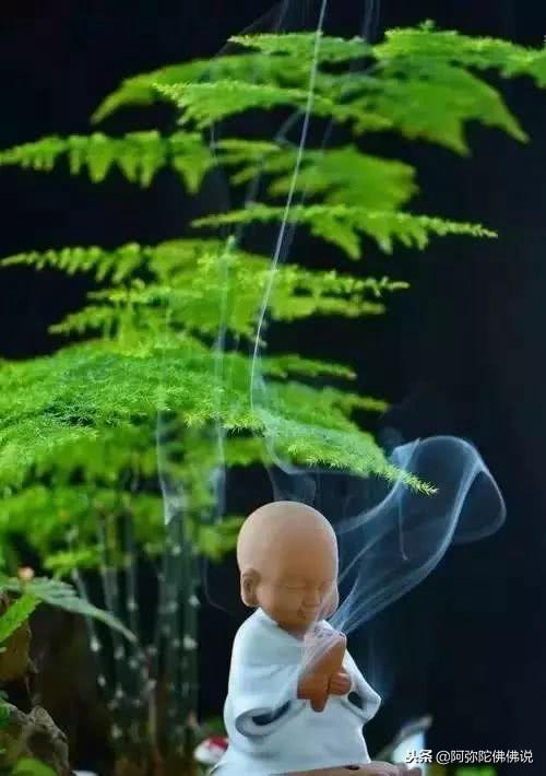 佛說：忍能養福，慈能養心，寬能聚氣
