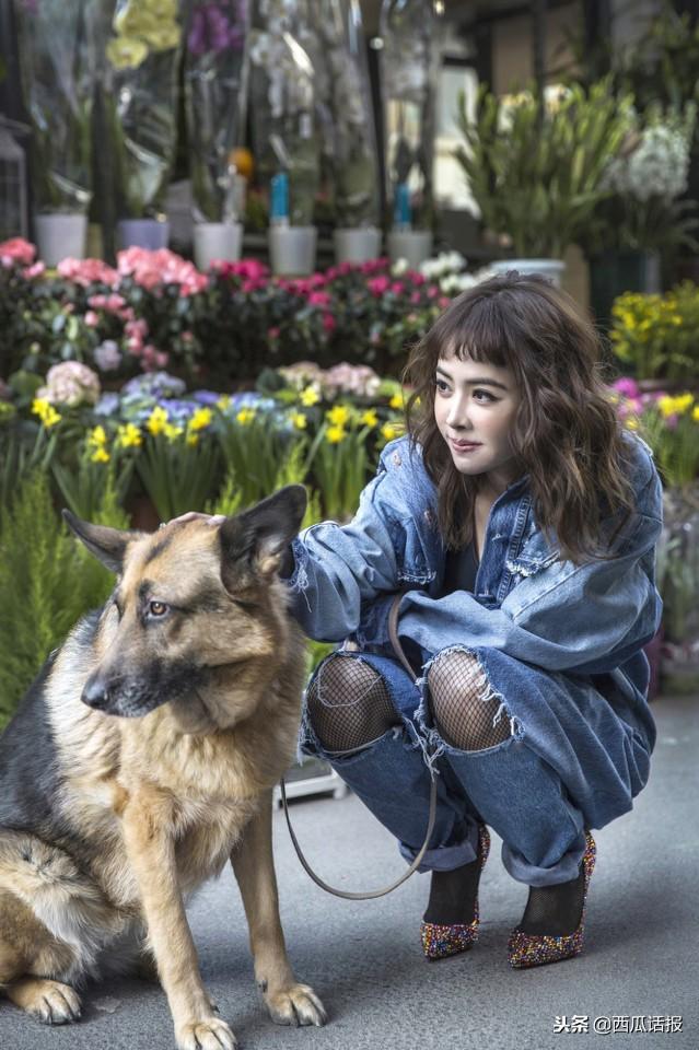 蔡依林公布好消息，粉絲評論：終於等到這一天！