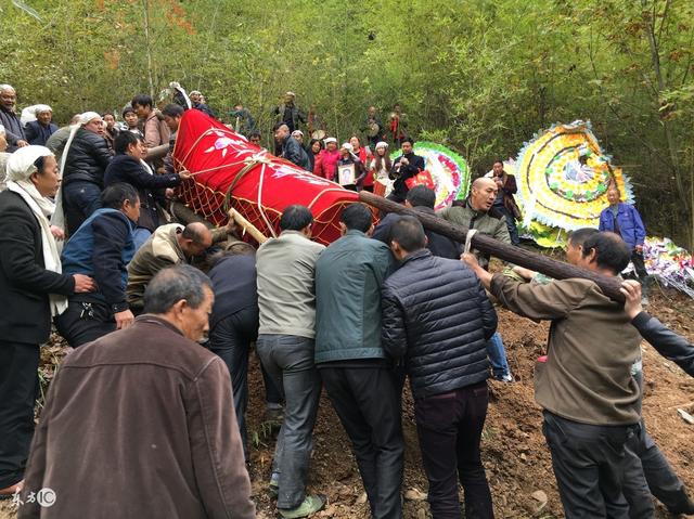 兒子千里飛回看病重父親，父親無意中聽到兒子兒媳對話服農藥去世！！