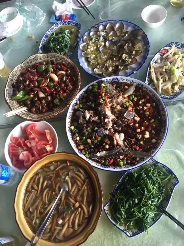 婆婆把存款放大姑姐家，生病要用錢，大姑姐的話讓婆婆暈倒在地