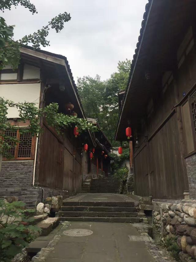 婆婆把存款放大姑姐家，生病要用錢，大姑姐的話讓婆婆暈倒在地