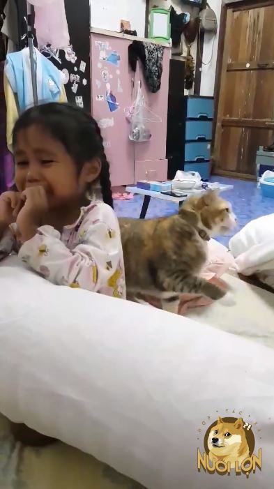幹什麼～小奴才被罵「喵皇急伸手」！大聲怒吼：竟敢動朕的人