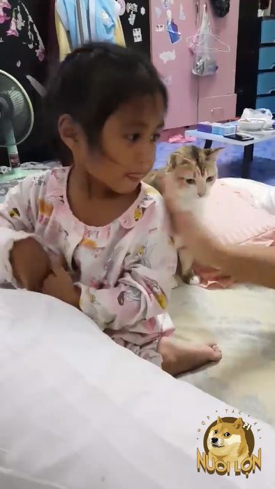 幹什麼～小奴才被罵「喵皇急伸手」！大聲怒吼：竟敢動朕的人