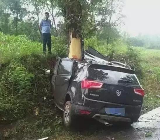 當你剎車失靈了，撞牆和撞樹哪個才能活下來