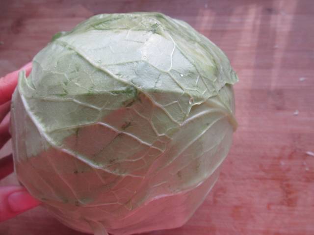 捲心菜這樣做比干鍋包菜好，減肥補充維生素，冬天多吃這菜不感冒