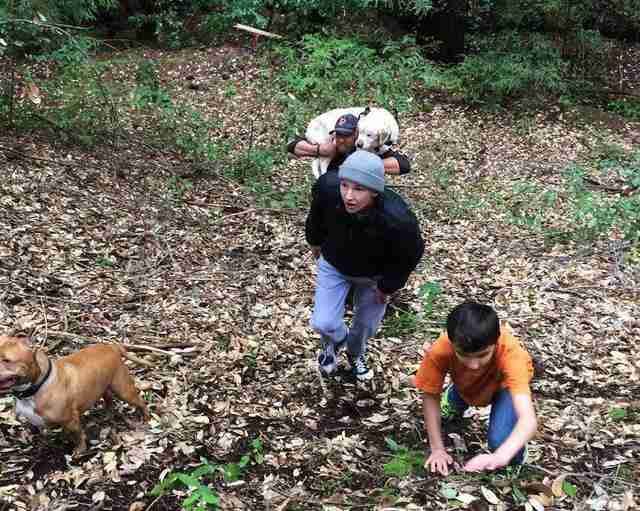 拉拉看不見走失8天了　直到鄰居在河邊「發現破爛垃圾袋」才拯救它