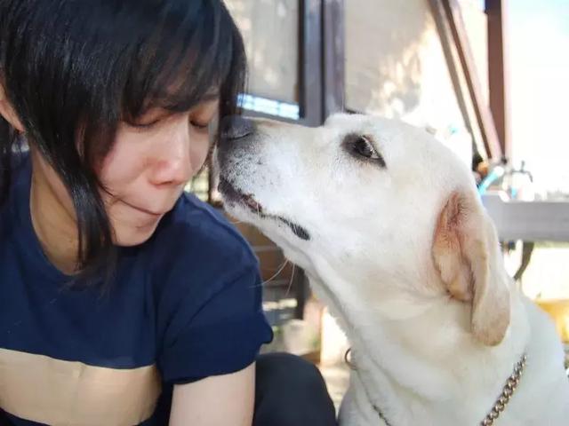 狗狗連續6年考警犬都失敗了，為了紀念它粉絲建了一尊銅像……