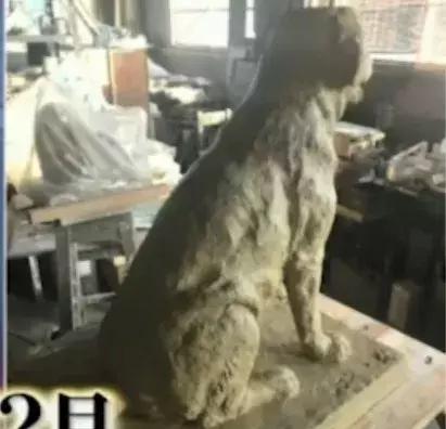 狗狗連續6年考警犬都失敗了，為了紀念它粉絲建了一尊銅像……