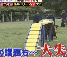 狗狗連續6年考警犬都失敗了，為了紀念它粉絲建了一尊銅像……