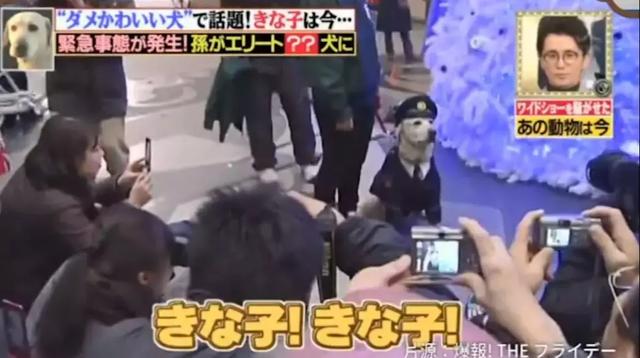狗狗連續6年考警犬都失敗了，為了紀念它粉絲建了一尊銅像……