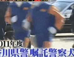 狗狗連續6年考警犬都失敗了，為了紀念它粉絲建了一尊銅像……