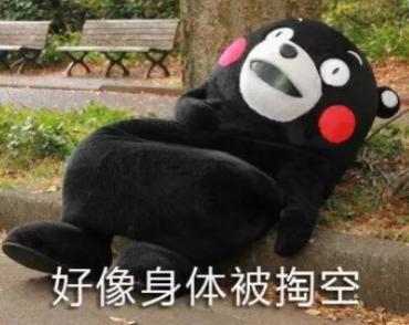 人懶又想養狗？這幾種狗狗都適合你