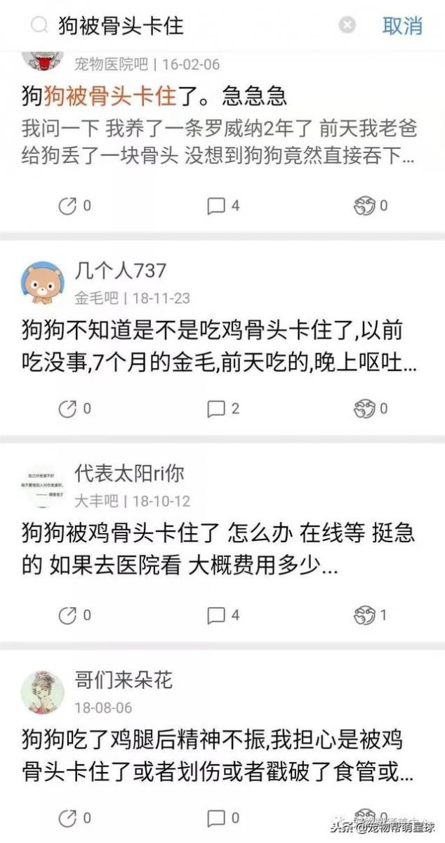狗狗吃骨頭卡住嘴巴，吃骨頭有風險，喂食需謹慎