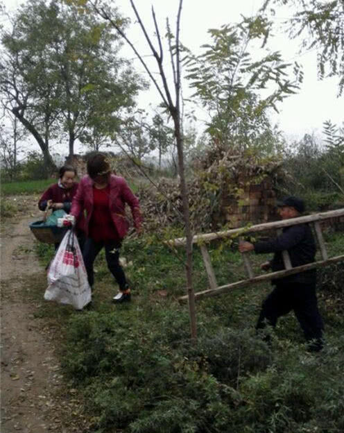 深坑發現一窩奶狗，心疼的看不下去，折騰一小時後終被運上