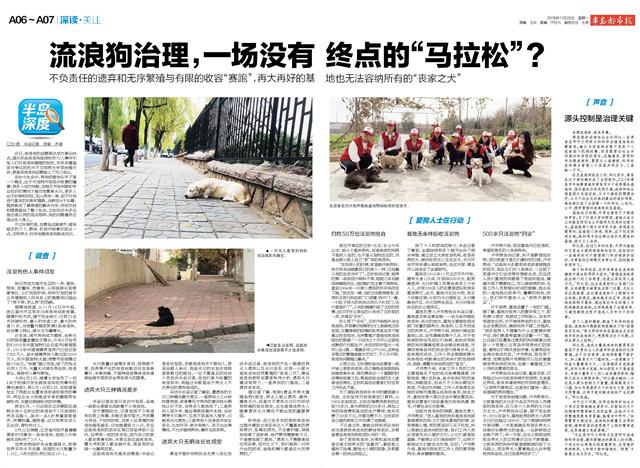 流浪狗治理，一場沒有終點的「馬拉松」？