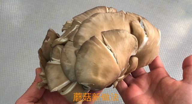 蘑菇最過癮的做法，花了3年研究，我家一周7頓吃不膩，太香了！