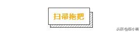 最讓小狗困惑的6個東西，有趣但別養成壞習慣