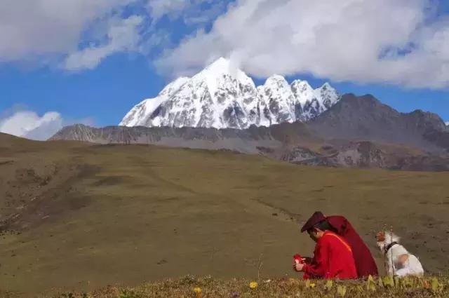一人一狗走西藏：史上最萌流浪狗，溫暖了他孤獨的旅行