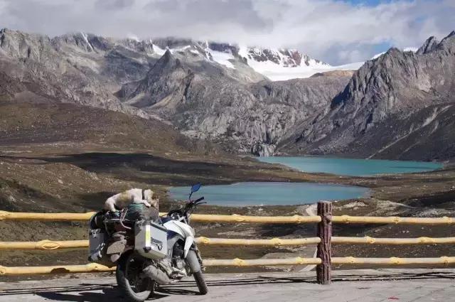 一人一狗走西藏：史上最萌流浪狗，溫暖了他孤獨的旅行