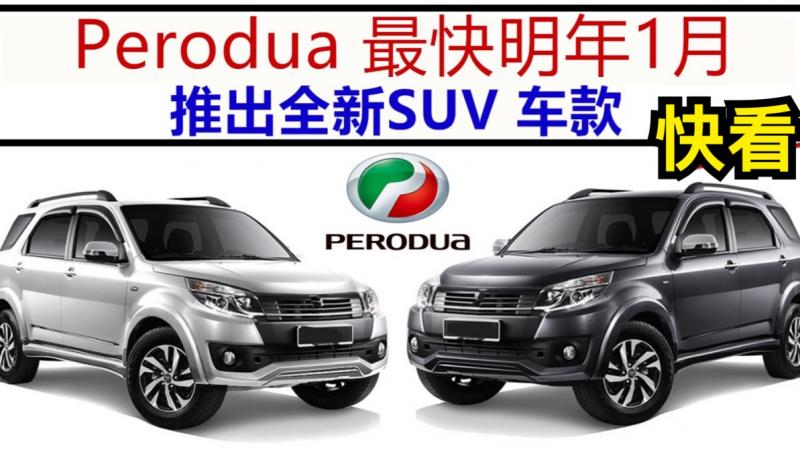  Perodua 最快明年1月推出SUV