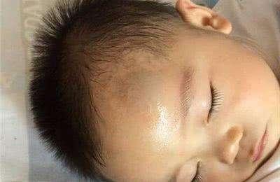 不想小孩子受傷，最好不要養以下的5種狗狗