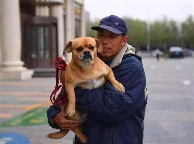 環衛工救助流浪狗，狗狗為報恩不離不棄，每日跟隨主人打掃馬路！