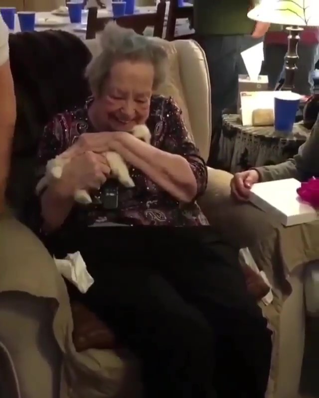 狗狗裝盒中作為阿婆生日禮物，打開盒子秒變小女孩：這是給我的嗎？好溫馨！