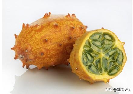 50種不常見的奇葩水果，看看你吃過哪幾個？