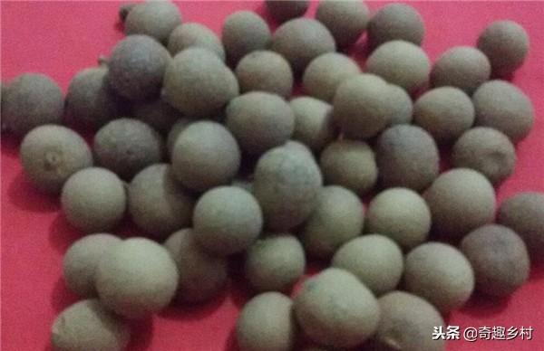 50種不常見的奇葩水果，看看你吃過哪幾個？