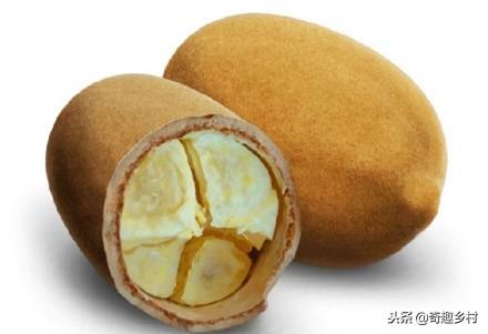 50種不常見的奇葩水果，看看你吃過哪幾個？