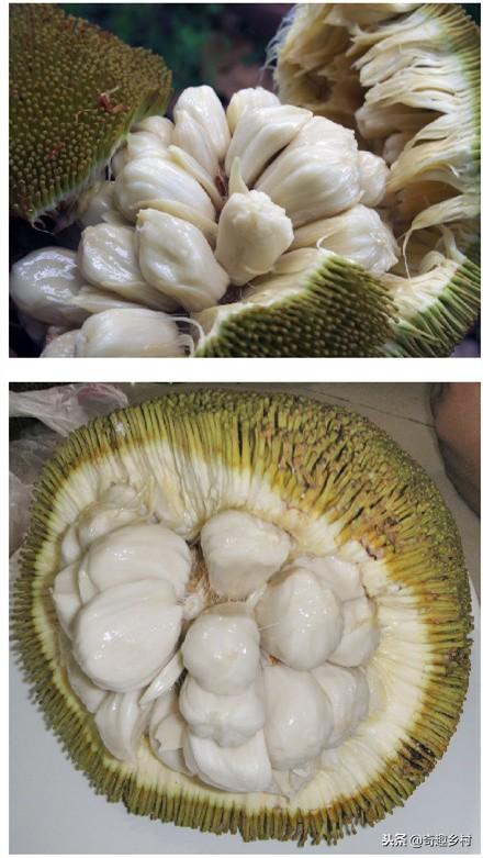 50種不常見的奇葩水果，看看你吃過哪幾個？