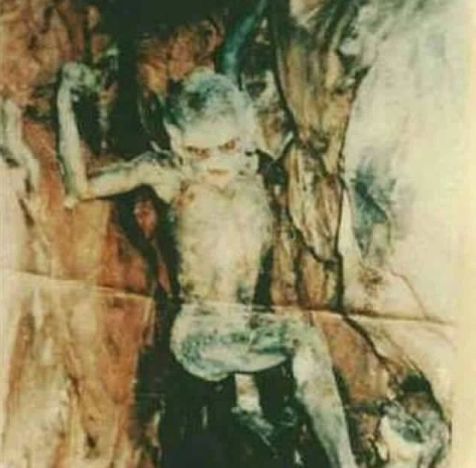 實拍：10張神秘未知生物照片合集，詭異恐怖到極致！